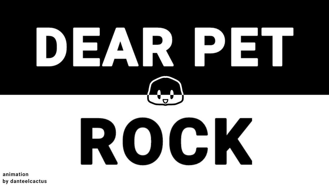 Dear Pet Rock | Animation