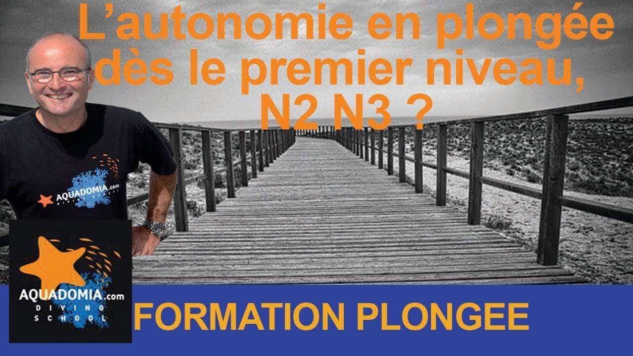 Formation à l'autonomie plongée dès le premier niveau, N2, N3 ?