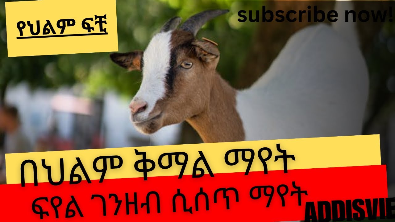 ቅማል በህልም ማየት|ፍየልን በህልም ማየት|ዝንጀሮ ማየት
