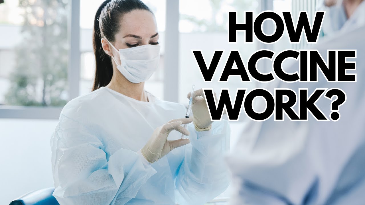 How Vaccines Work and their Role in Public Health