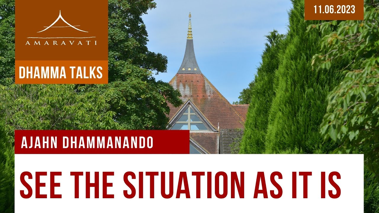 See the Situation as It Is | Ajahn Dhammanando | 11.06.2023