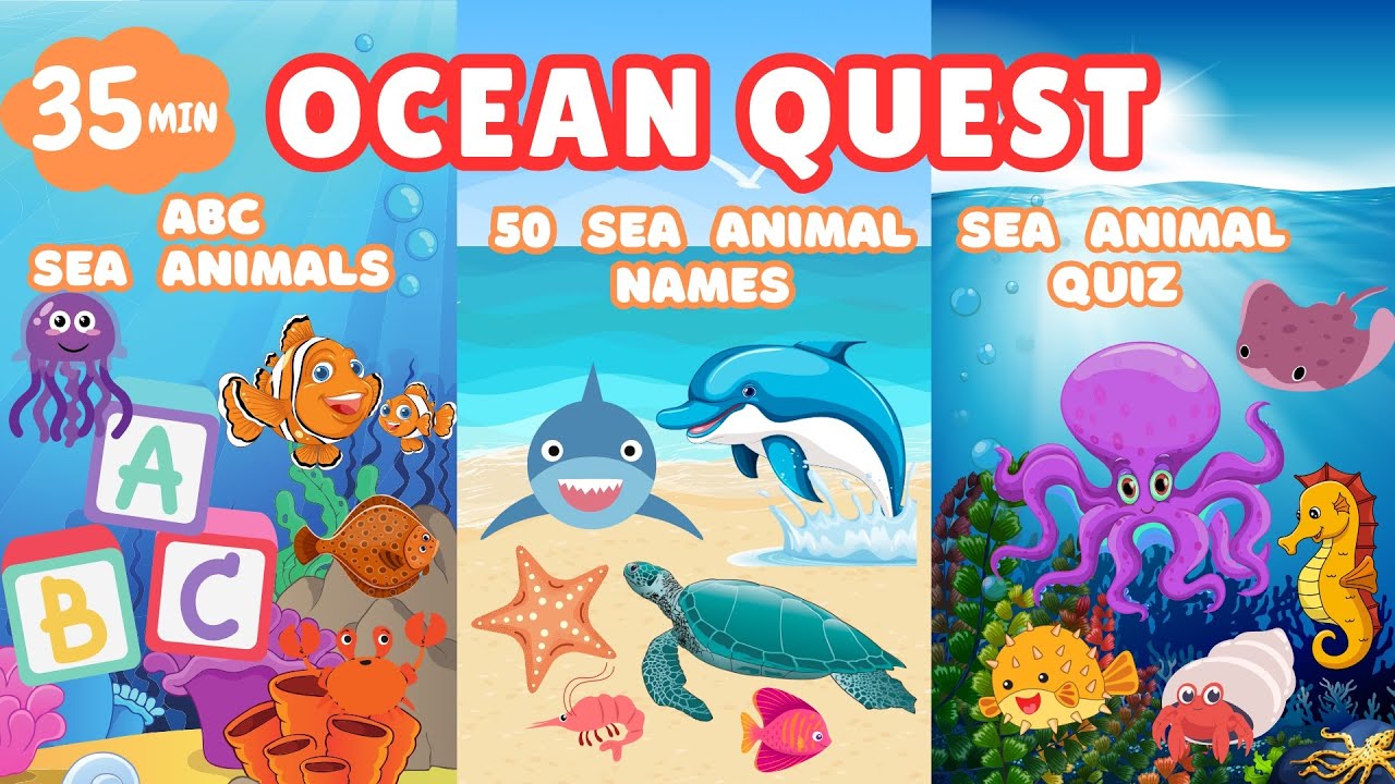 SEA ANIMALS: Learn ABC Sea Animals, 50 Sea Animal Names & Sea Animal Quiz