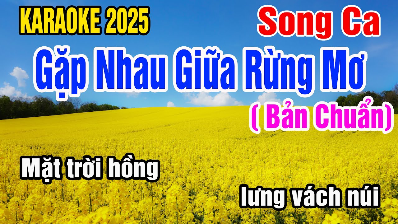 Gặp Nhau Giữa Rừng Mơ Karaoke Song Ca Nhạc Sống gia huy karaoke