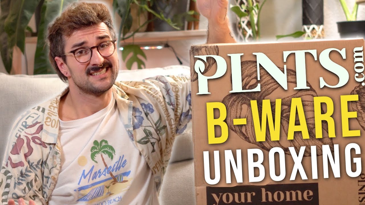 Top oder Flop? 35€ PLNTS.com B-Ware Unboxing!