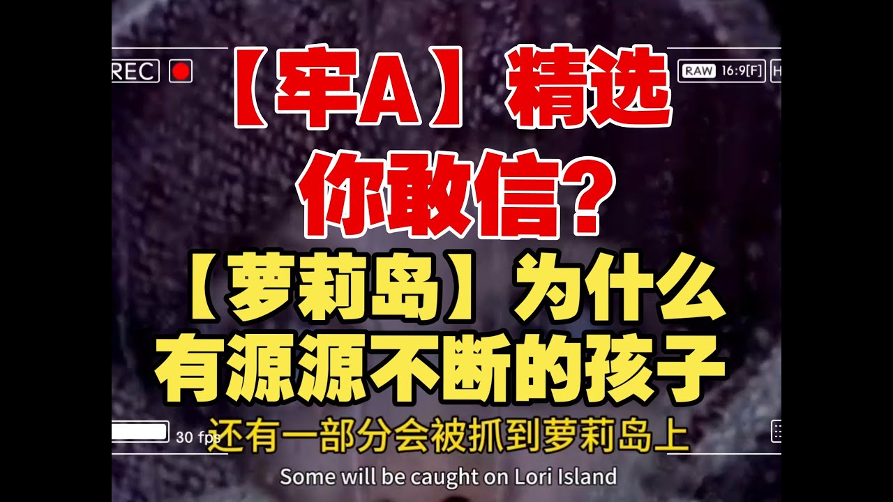 【牢A】斯奎奇大王精选：萝莉岛为什么有源源不断的孩子上去⚠️因为美国每年失踪35万孩子⚠️