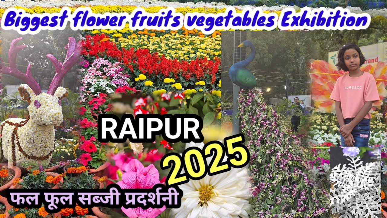 Raipur Flower Fruit vegetable Exhibition2025 फल फूल सब्जि प्रदर्शनी रायपुर2025झलक Raipur city tour