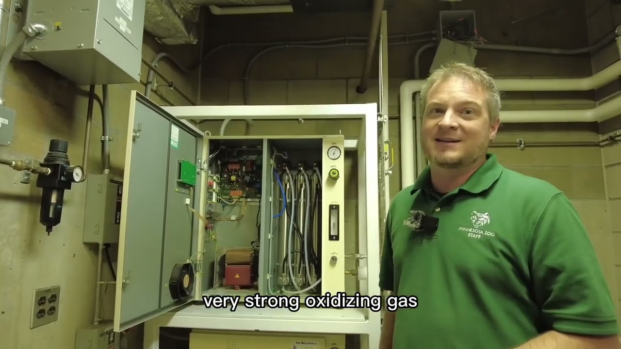 Sea Otter Habitat - Life Support Systems Tour