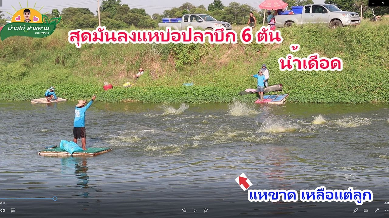 น้ำเดือดกระจาย #สุดมันลงแหจับปลาบ่อปลาบึก6ตัน EP1 คลิปที่77