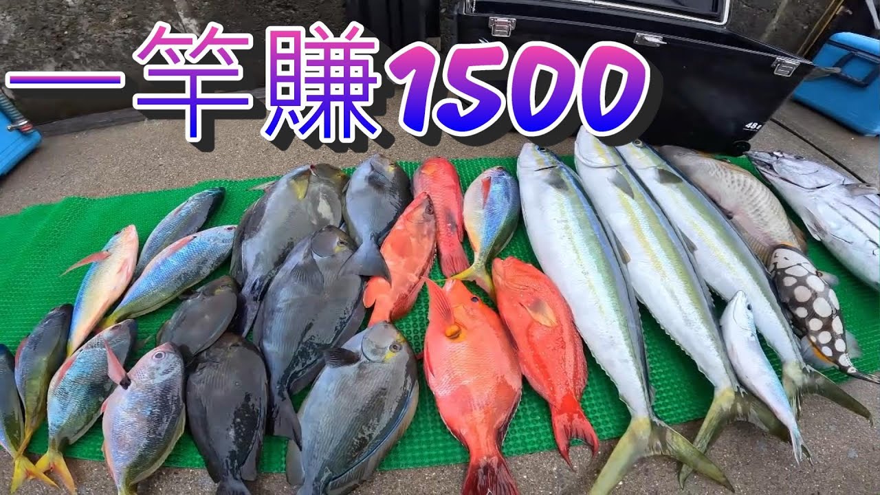 魚多挑著釣 只想釣一些不一樣的高級魚種 七星岩釣高級魚