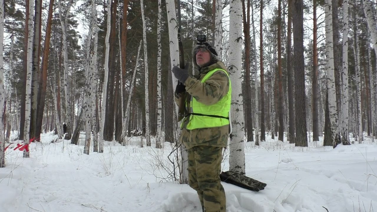 Охота на волка