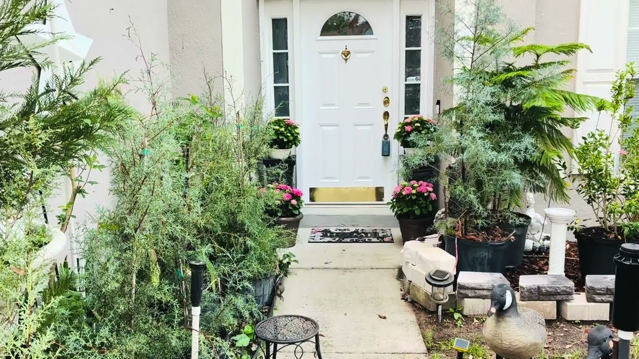  Buying My Favorite Flowers In The Old World Hydrangeas For The Front Door March 2026
