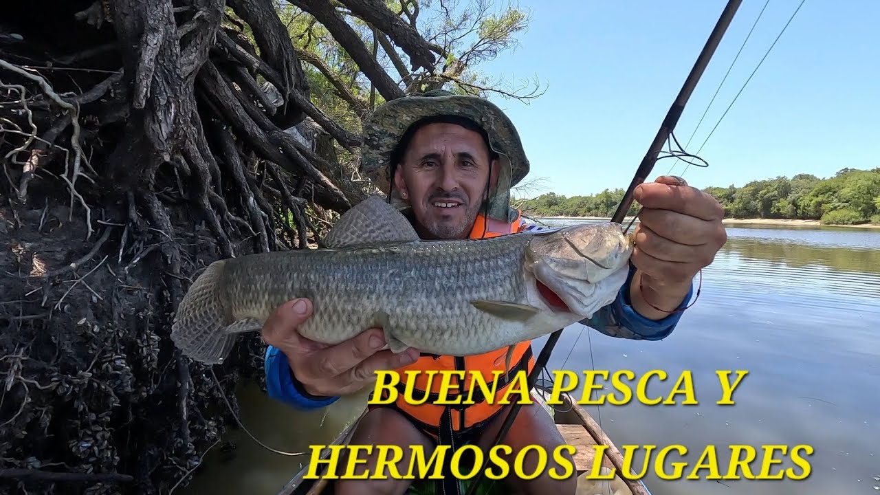 PESCA ,CAMPAMENTO Y LUGARES HERMOSOS