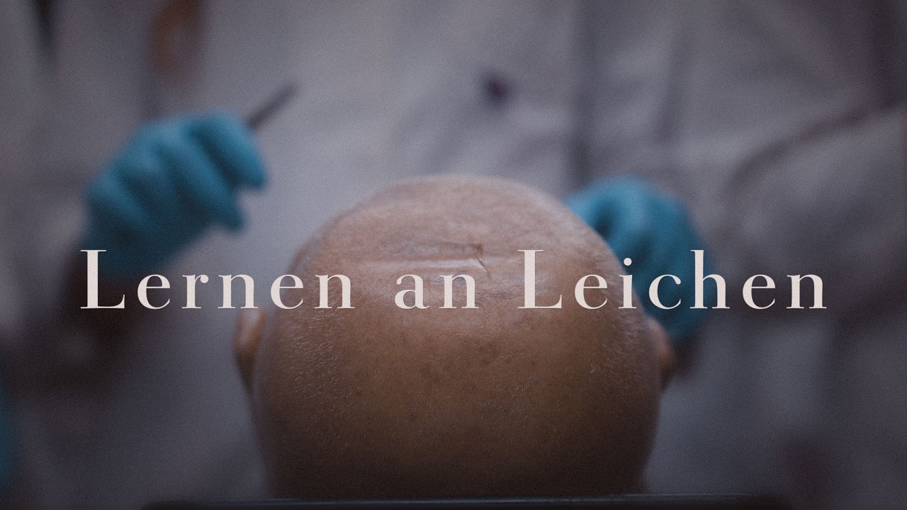 Das sieht sonst nur, wer Medizin studiert.