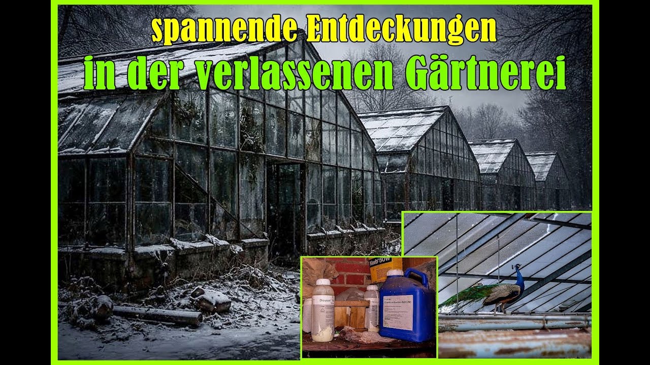Lost Place verlassene Gärtnerei mit Wohnhaus voll unerwarteter Entdeckungen 