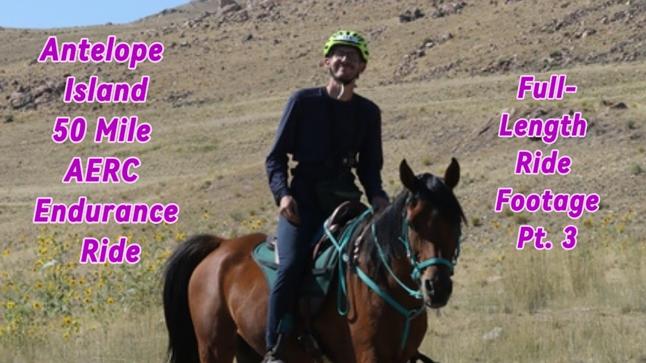 Antelope Island Endurance Ride Sept 16 2023 - AERC Full Footage (Part 3/3)