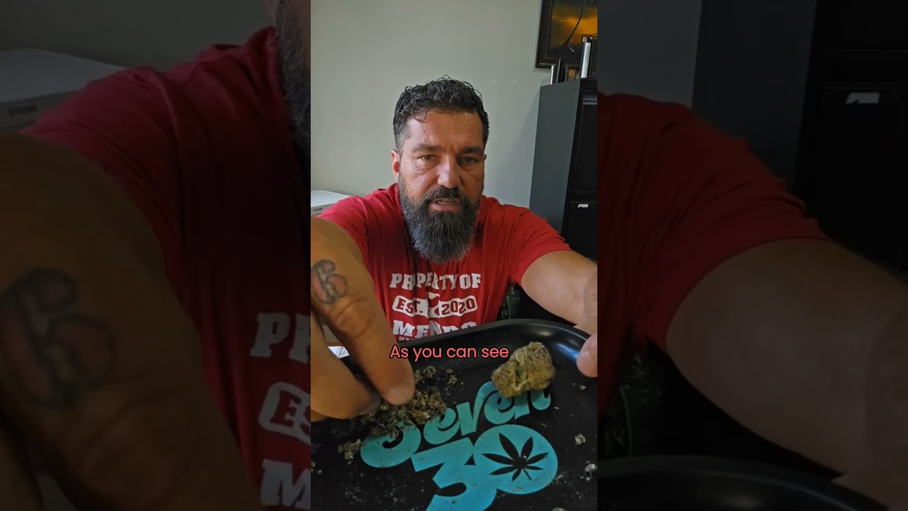 Red Friday reviews, episode 2.  Today we review a sativa dominant strain called Dopamine.