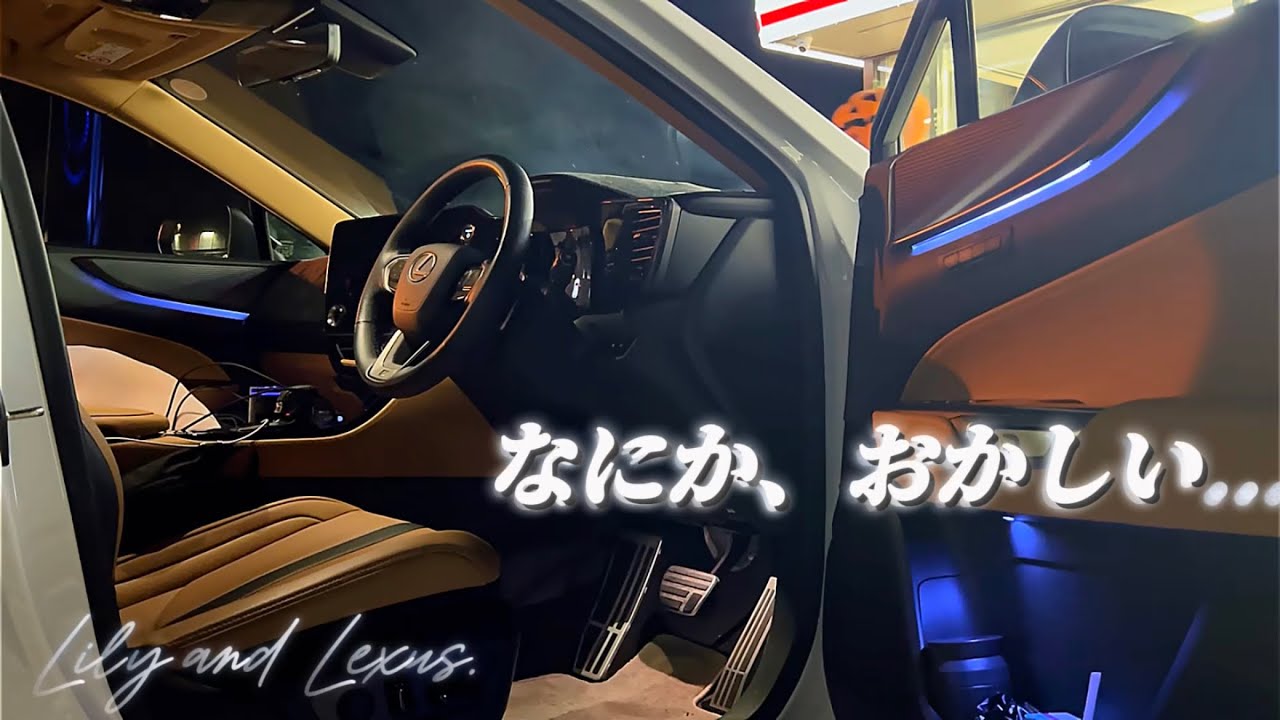 何か変だ...。深夜の長距離ドライブ｜レクサスNX｜Vlog