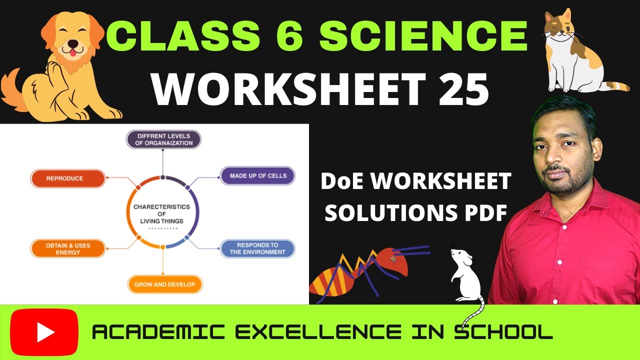 Class 6 worksheet 25 Science | Worksheet 25 Class 6 Science solutions | Science Worksheet 25 Class 6