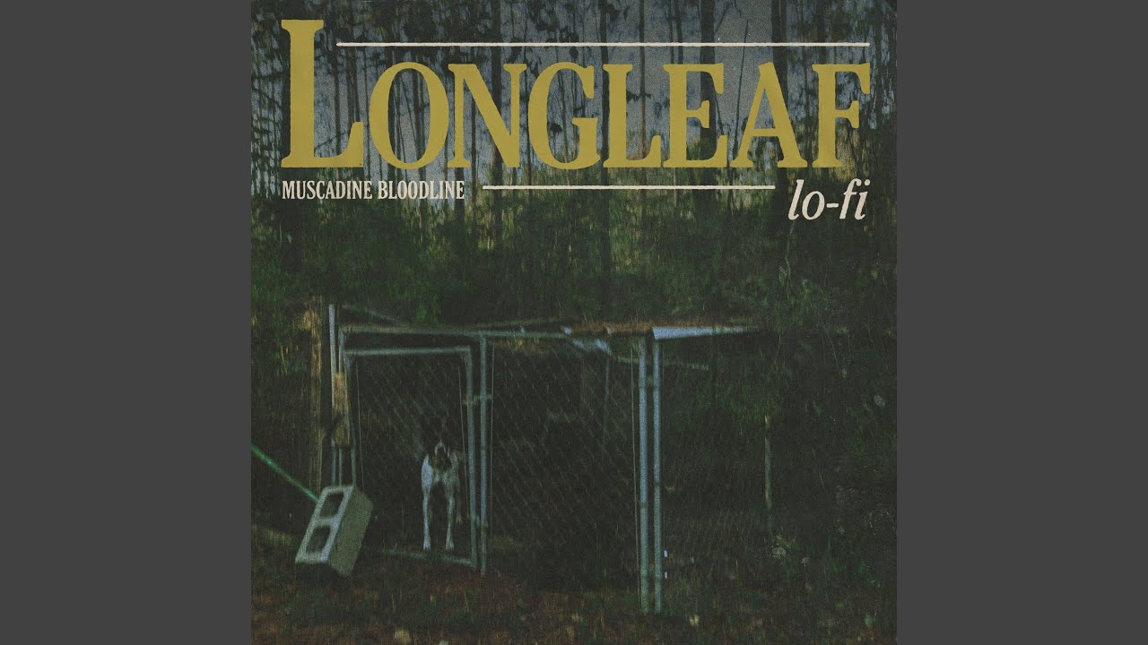 Right Place, Right Time