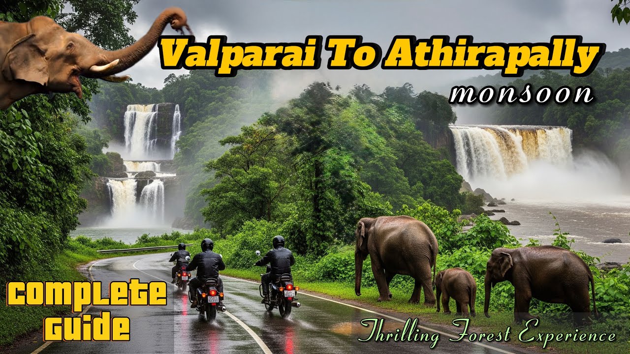 Valparai To Athirapally Monsoon Ride💛| வால்பாறை to அதிரப்பள்ளி🐘| Athirapally Complete Guide Tamil🔥