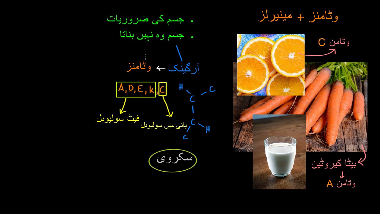 Introduction to vitamins and minerals |  Biology Foundations |  Khan Academy Urdu