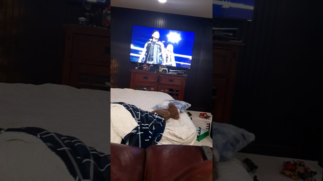 The judgement day vs Rhea Ripley and Damian Priest(tag team)