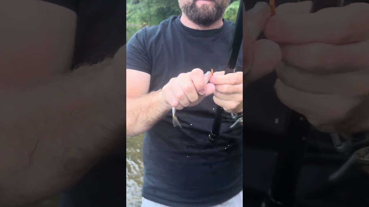#fishing #sport #new #fish
