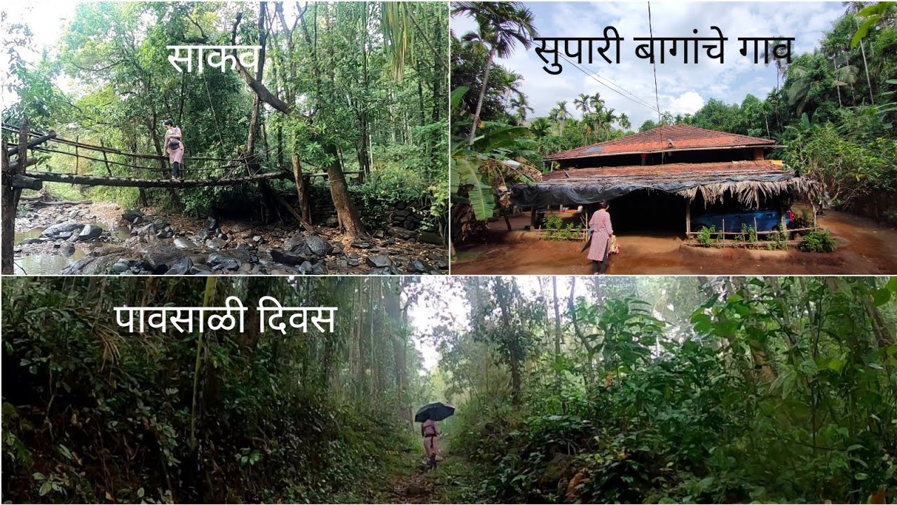 बागायती शेतीची वाडी,साकव,मातीची घरे आणि मुसळधार पाऊस|Ecosensitive Village in sindhudurg