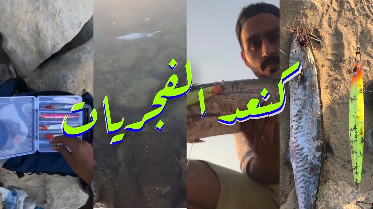 كنعد الفجريات (ضيراك) - morning kingfish - المنتب
