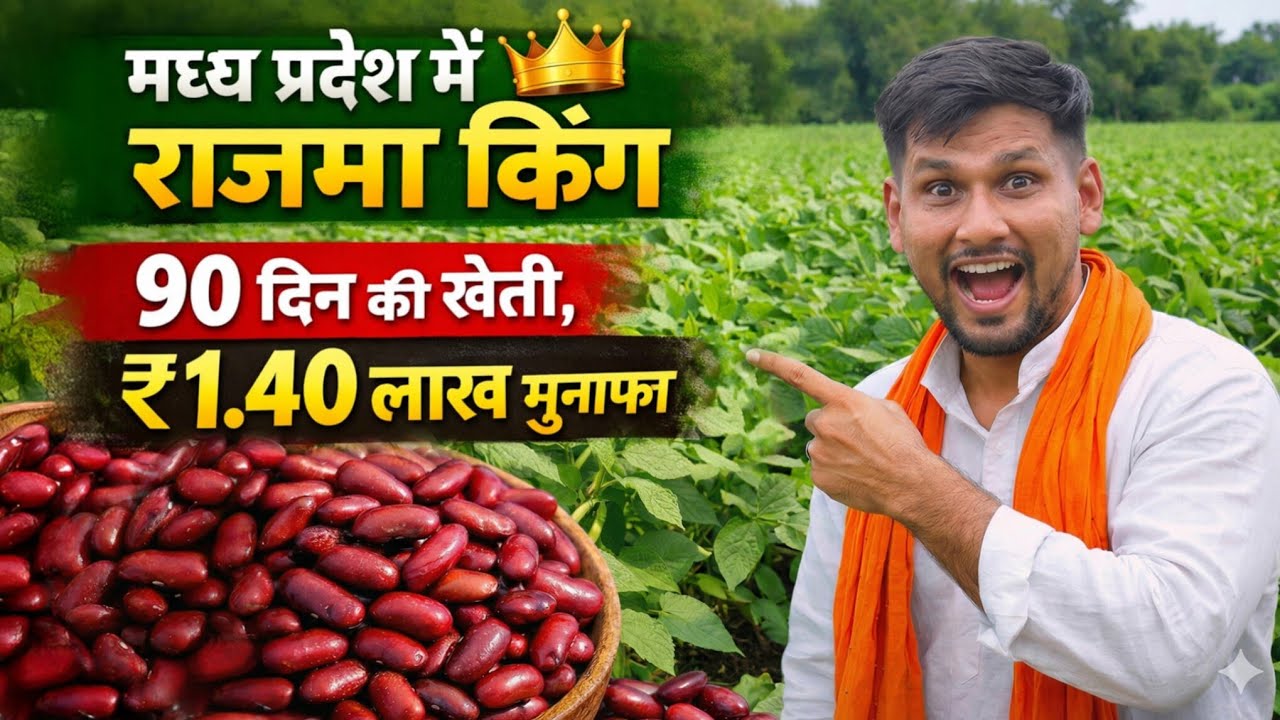 Rajma Farming in MP | 90 दिन में ₹1.40 लाख कमाई 💰 | राजमा की खेती का पूरा राज