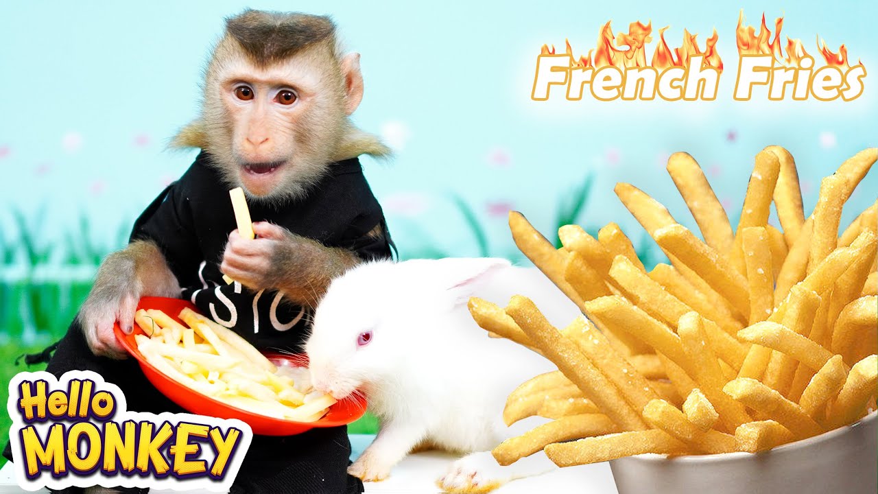 Monkey Bobo Knows How To Make Super Delicious French Fries 🍟
