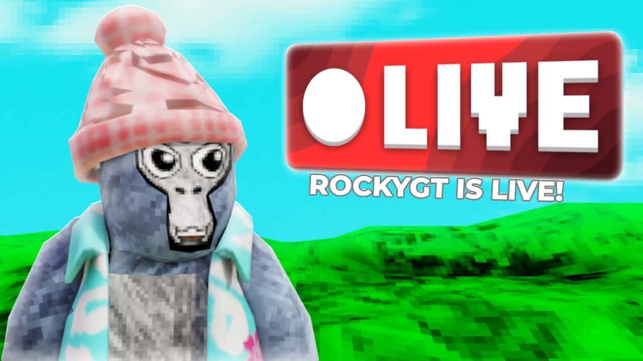 Fun live