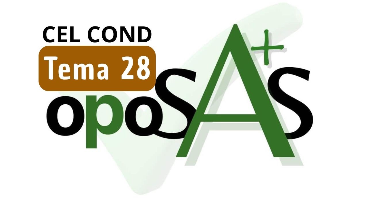Tema 28 Celador Conductor SAS | Informática, Correo (CC vs CCO) e Intranet Corporativa 💻