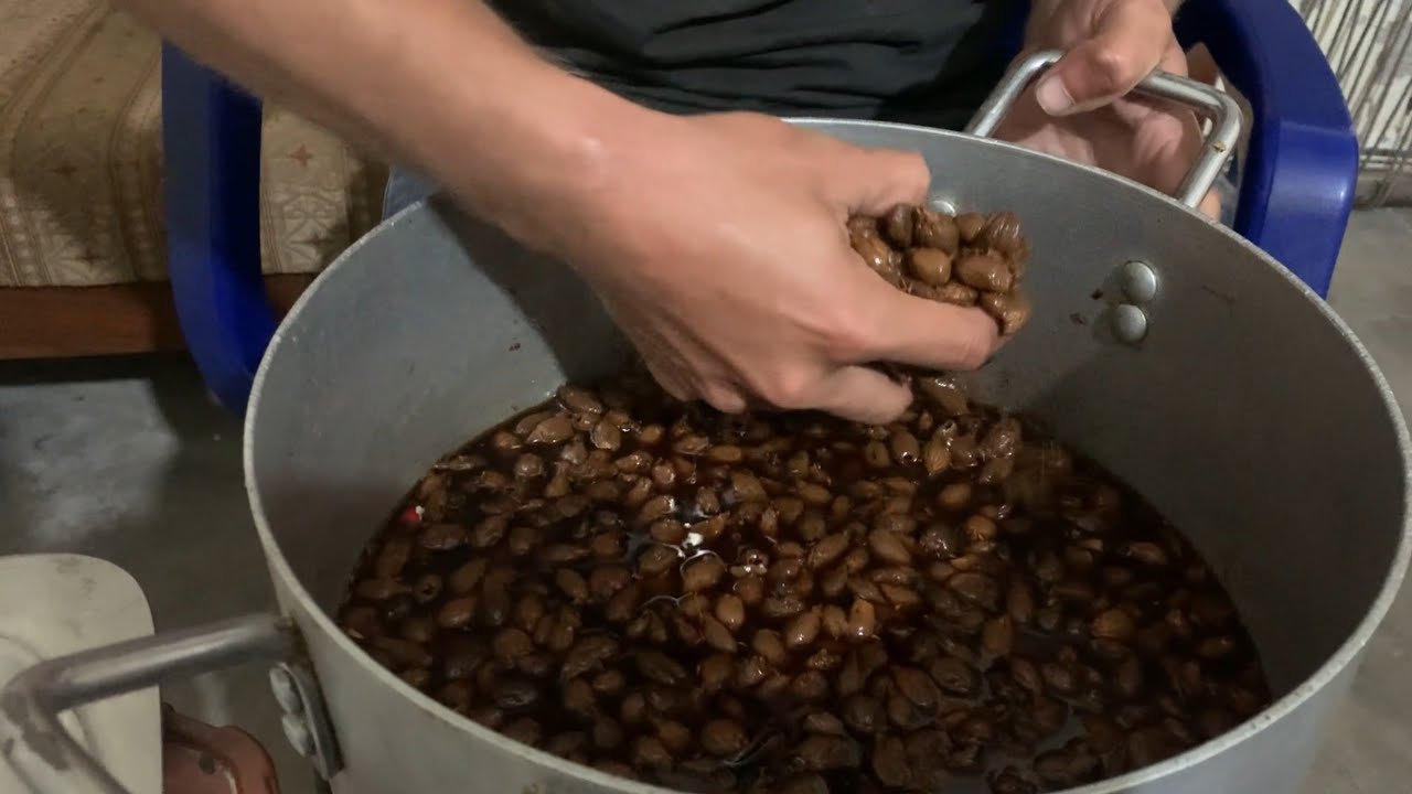 HOW TO MAKE SUPER FISHING BAIT 