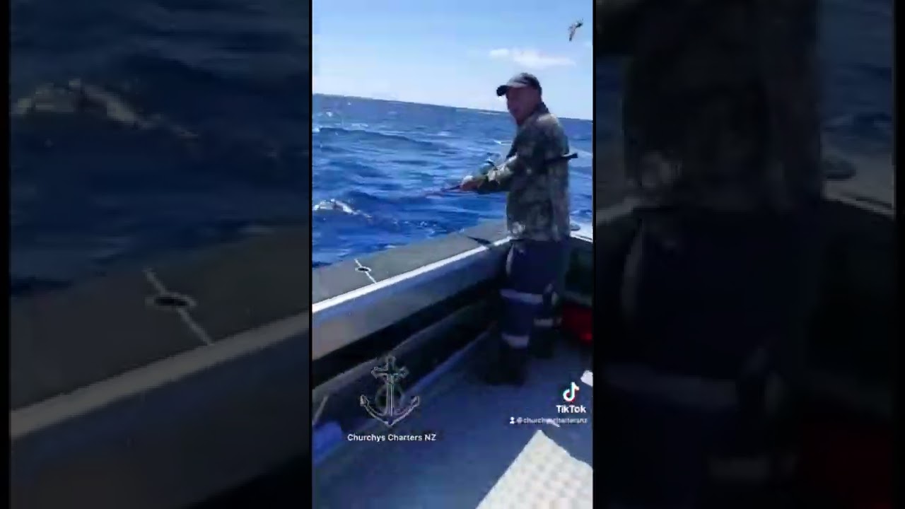 Mako Shark jumps on boat