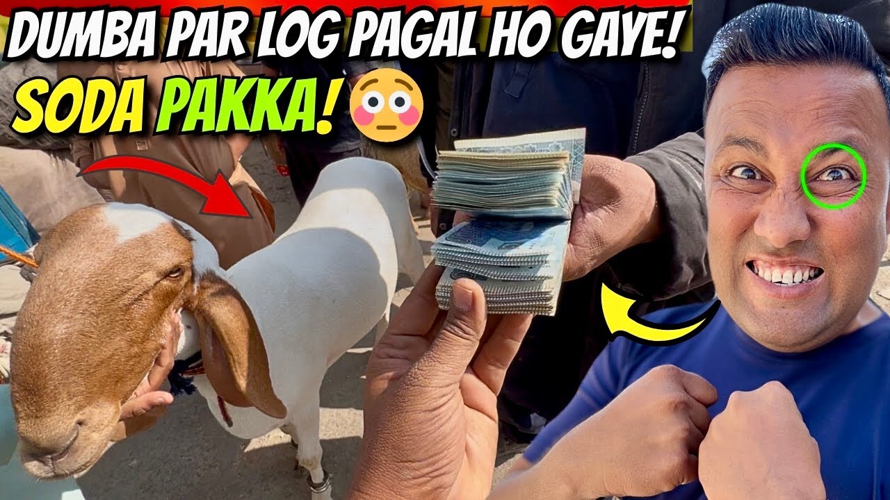Lalukhet Mandi Me Hua Aisa Bhatreen Soda 😱 | Sara Karachi Shock! 🔥 Sunday Bakra Mandi Latest Update 