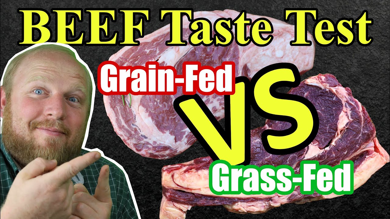 Taste Test: Grain-Fed Beef VS Grass-fed Beef, Family & Friends give their take on which is the best