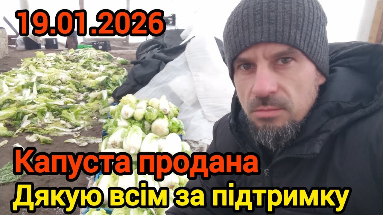 Продаж пекінської капусти.