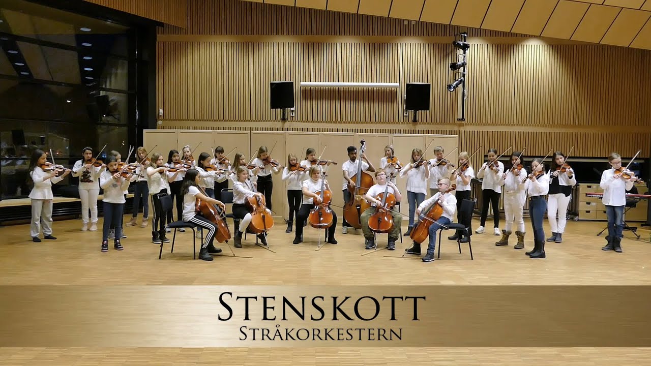 200205 Stenskott - Str&aring;korkestern