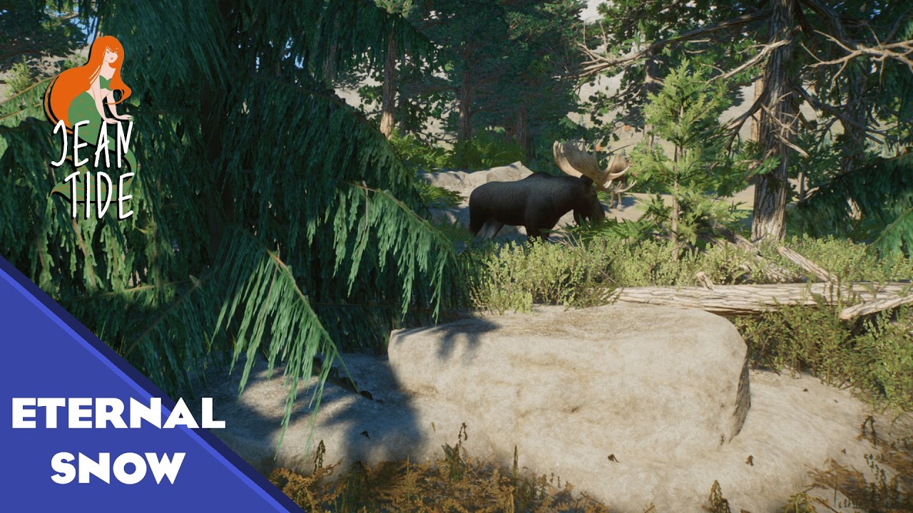 Eternal Snow | Planet Zoo | Collab with Nausicaä | Ep. 01