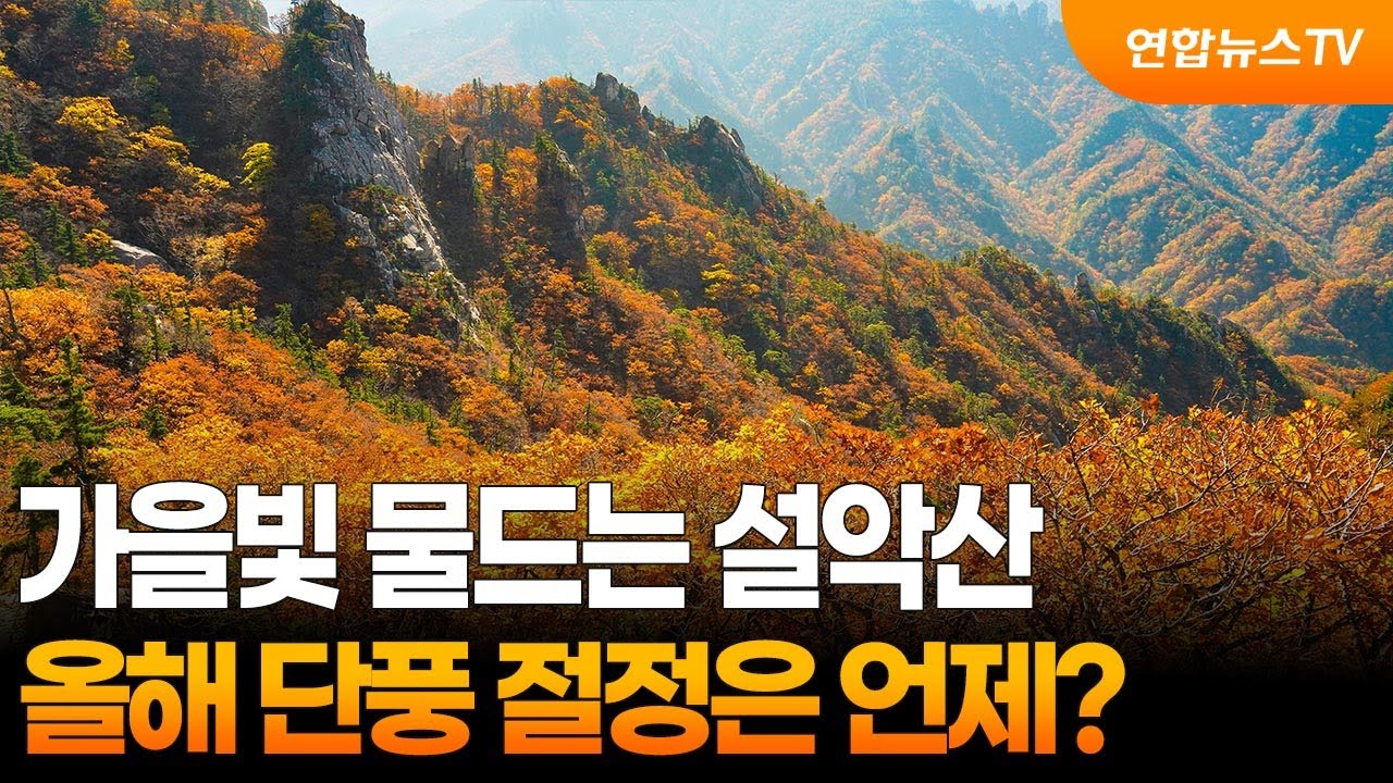 가을빛 물드는 설악산&hellip;올해 단풍 절정은 언제? / 연합뉴스TV (YonhapnewsTV)