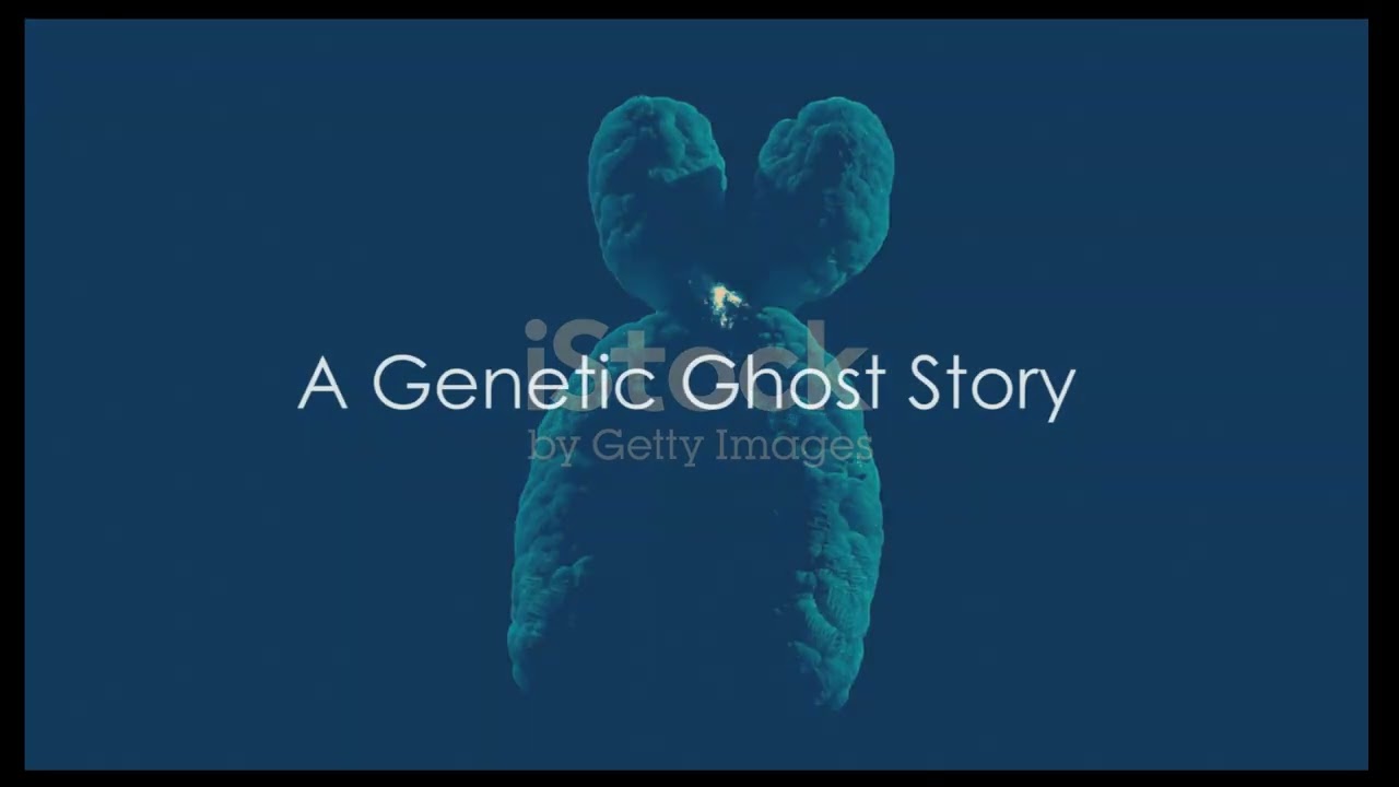 The Prehistoric Event That Erased 90% of Men (And Why It&rsquo;s Still a Mystery).