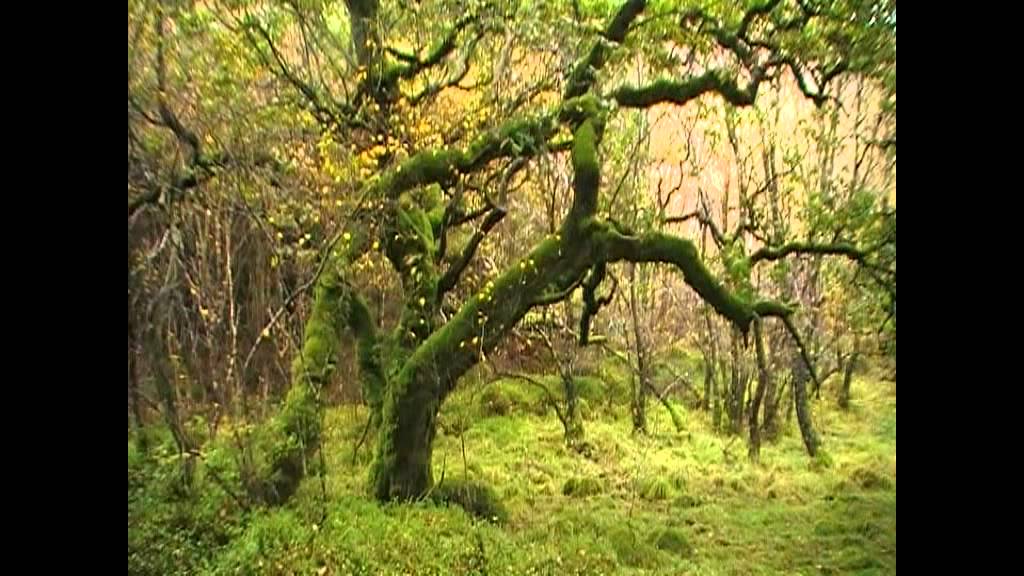 John R Finch-Creation Spirituality (Part 3) Video