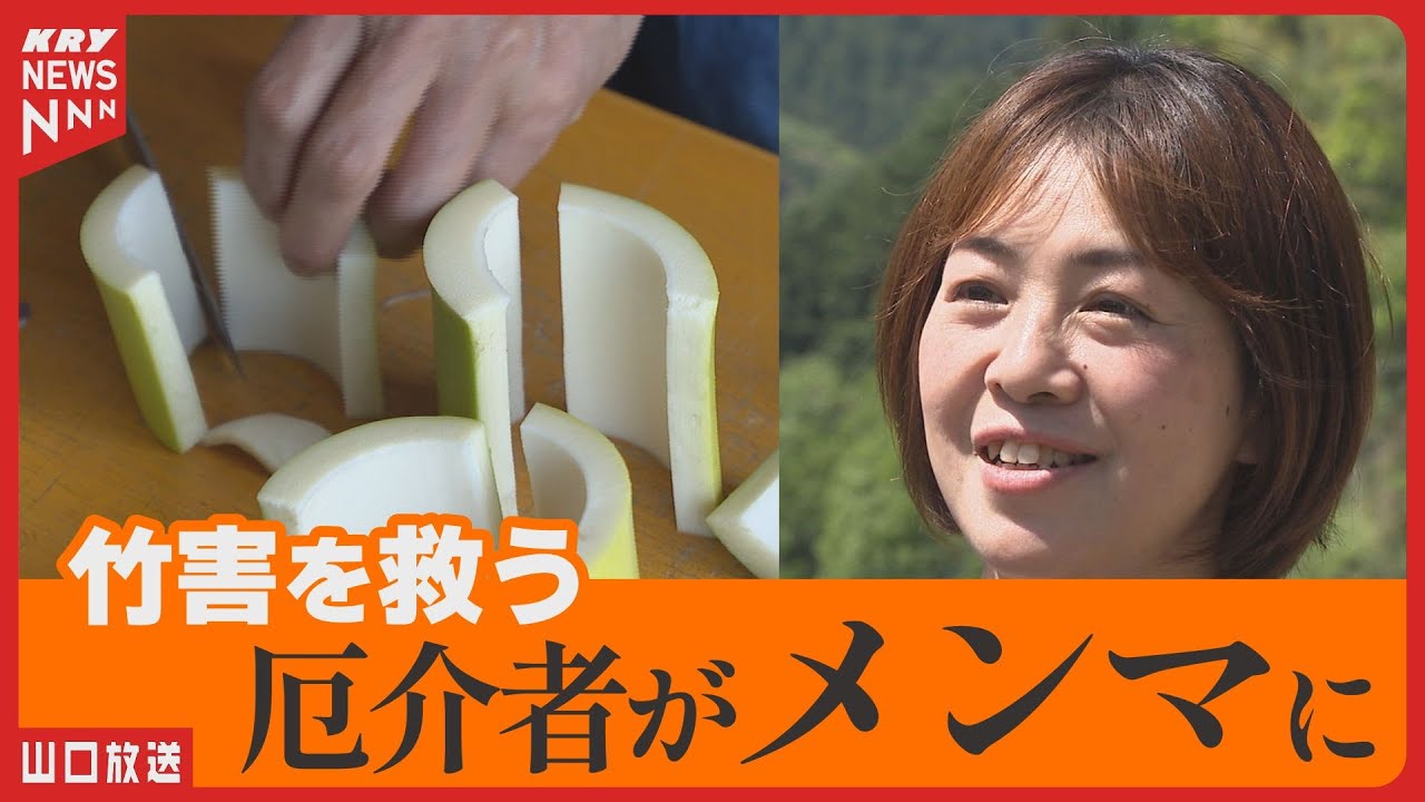“邪魔者”竹が絶品メンマに！放置竹林を救う挑戦