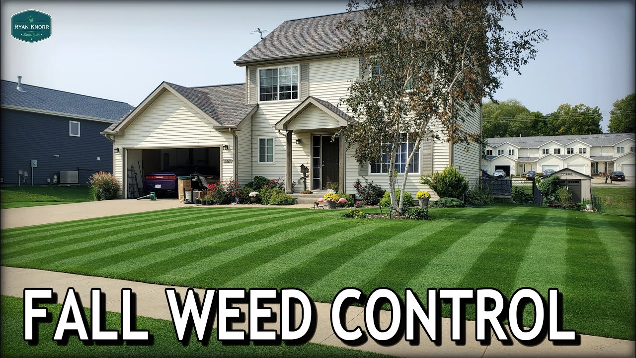 Is Fall The BEST TIME to SPRAY Cool Season Grass??