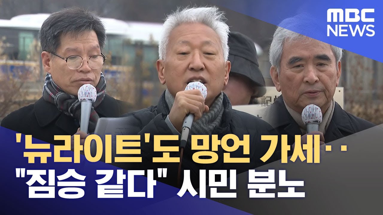 '뉴라이트'도 망언 가세‥