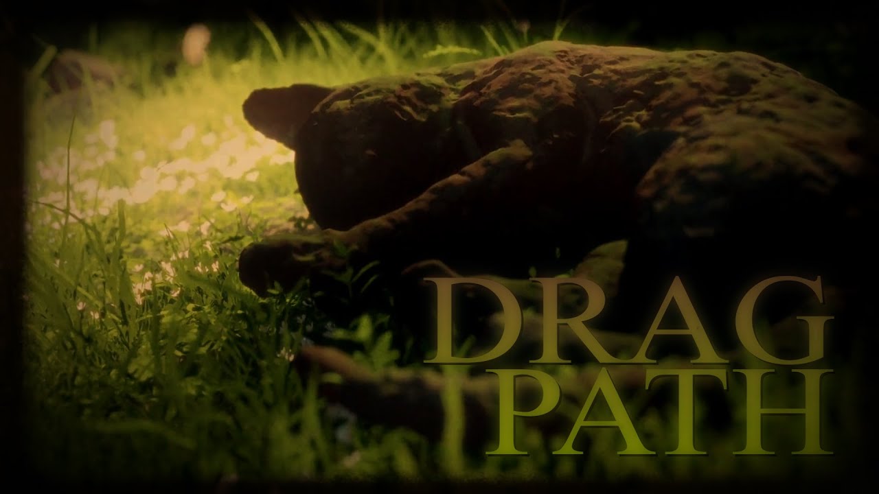 DRAG PATH 🐈‍⬛🌊 [read desc.]