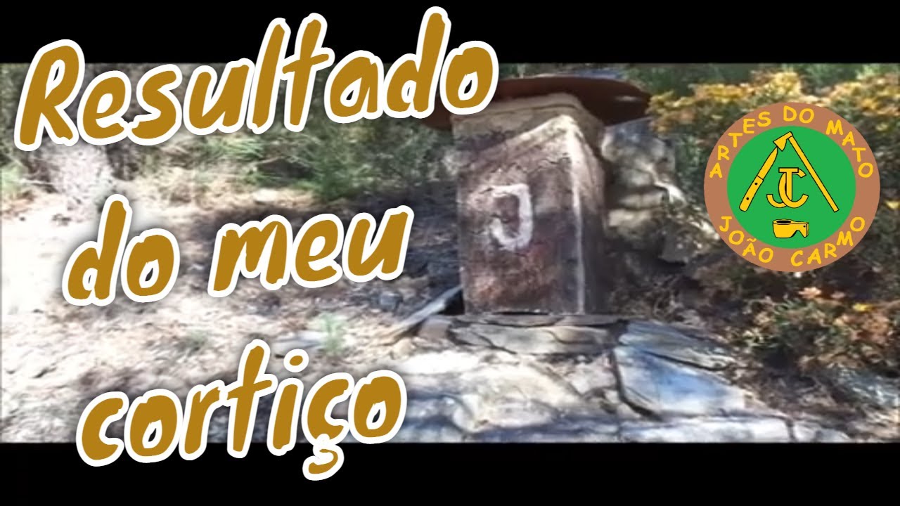 #Resultado do meu #cortiço