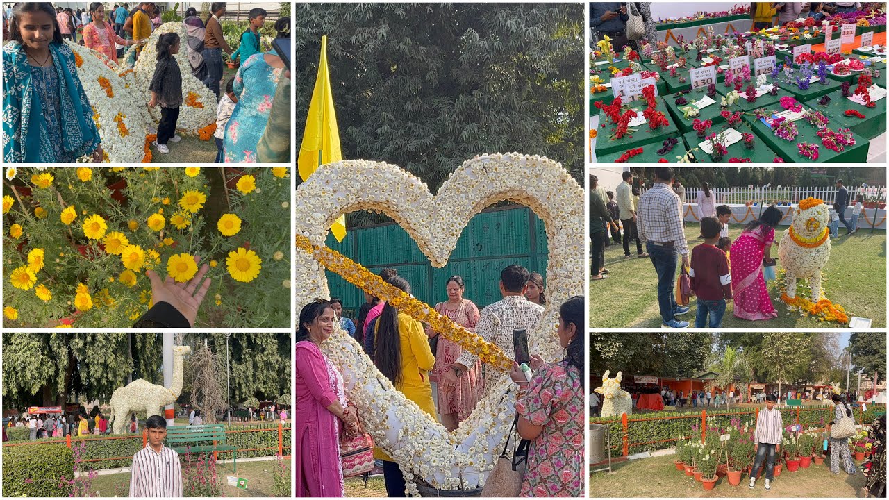 Ярмарка Пушп Мела || Случайный план || Выставка цветов 🌼, фруктов 🍇 и овощей 🥒 ||