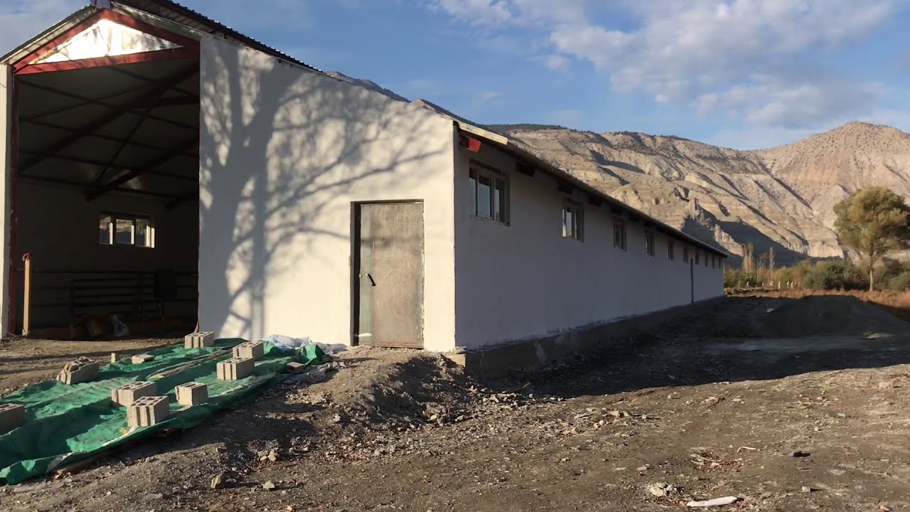 BESİ AHIRI YAPICAK ARKADAŞLARA BİRKAÇ İPUCU(ortalama maliyetler) #besi#ahır#nasılyaparım#inek